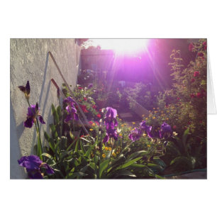 Fuego violeta por armonía