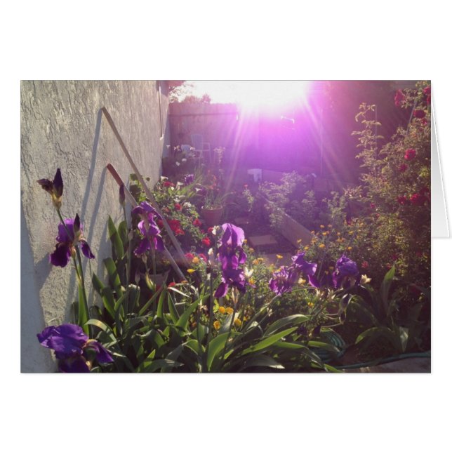Fuego violeta por armonía (Anverso (Horizontal))
