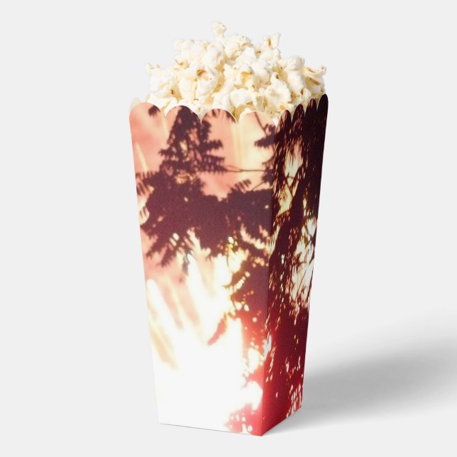 Fuegos artificiales 12 cajas de palomitas (apareció)