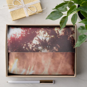 Fuegos artificiales 12 papel tisular