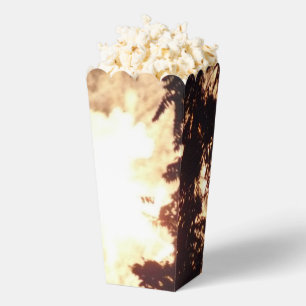 Fuegos artificiales 15 cajas de palomitas