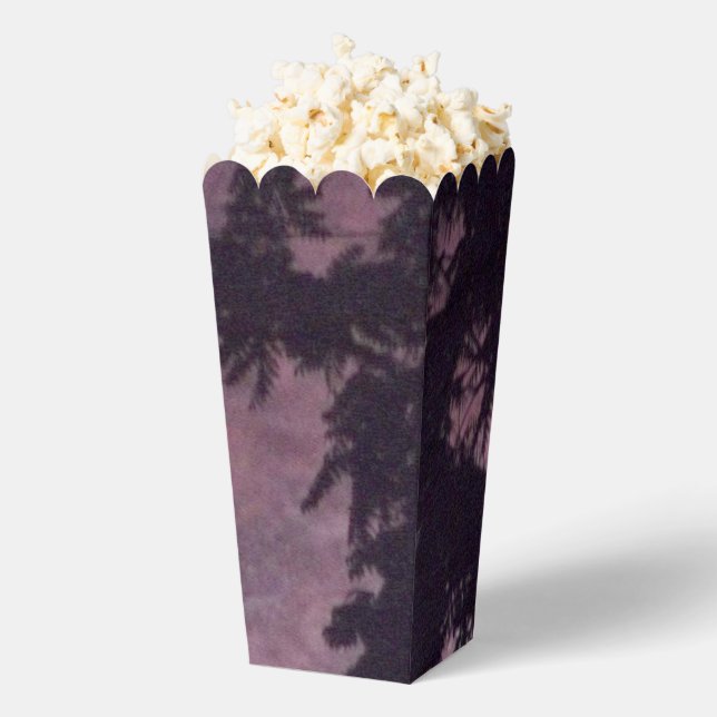 Fuegos artificiales 16 cajas de palomitas (apareció)