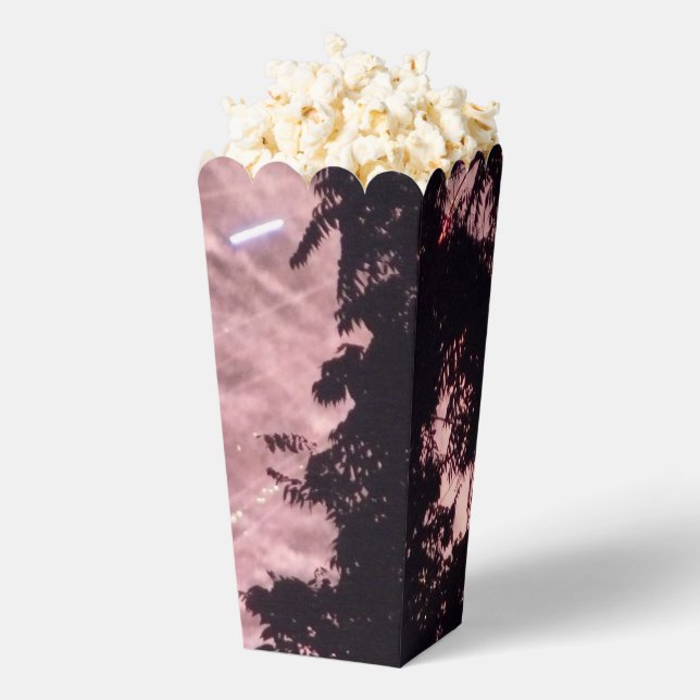 Fuegos artificiales 18 cajas de palomitas (apareció)