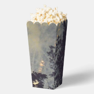 Fuegos artificiales 19 cajas de palomitas