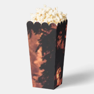 Fuegos artificiales 20 cajas de palomitas