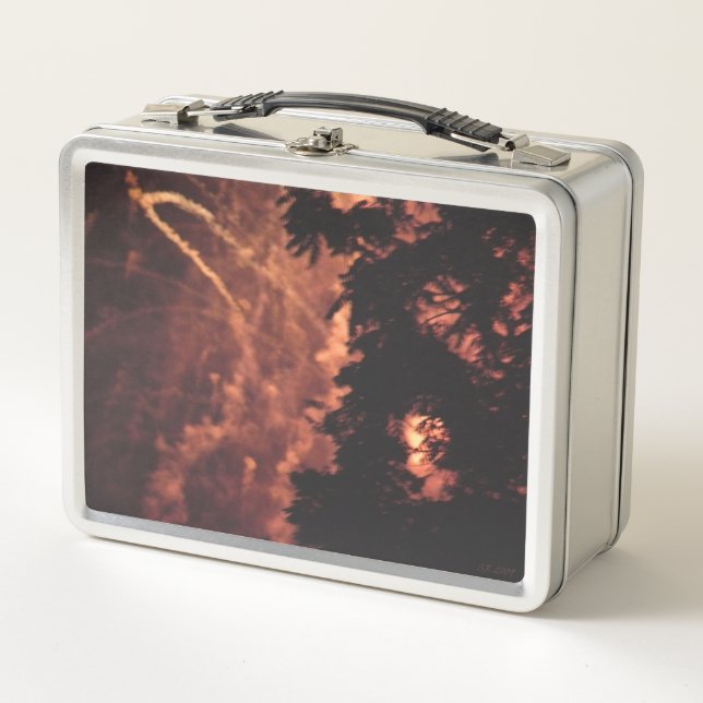 Fuegos artificiales 20 lonchera inoxidable (Anverso)