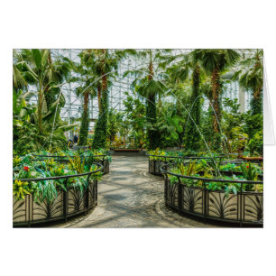 Fuente: Crystal Gardens Leap