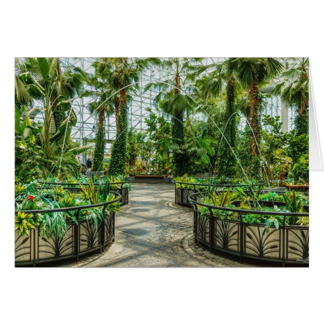 Fuente: Crystal Gardens Leap (Anverso (Horizontal))