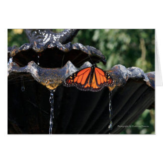 Fuente de mariposa
