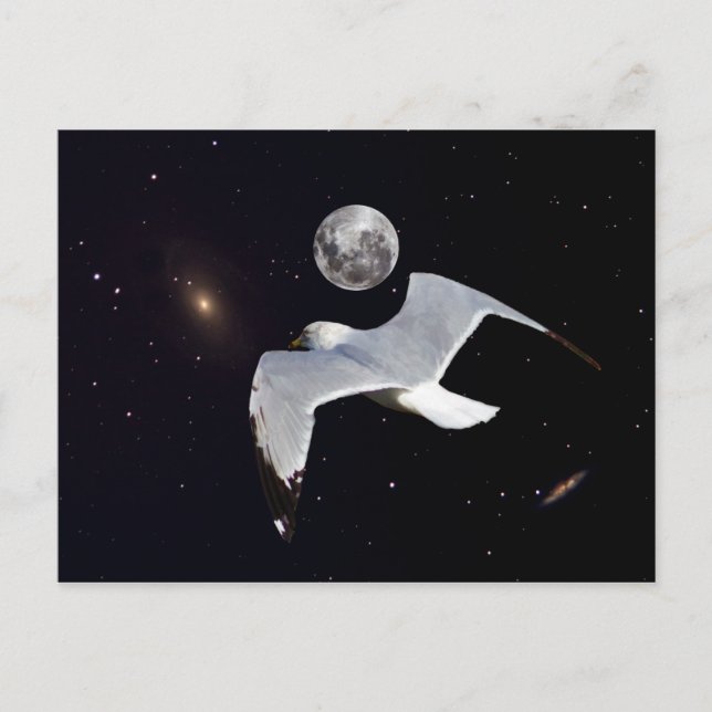 Fuera de esta postal mundial (Anverso)