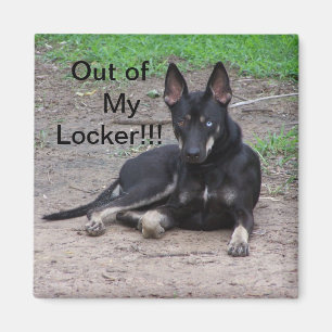 Fuera de mi imán del armario