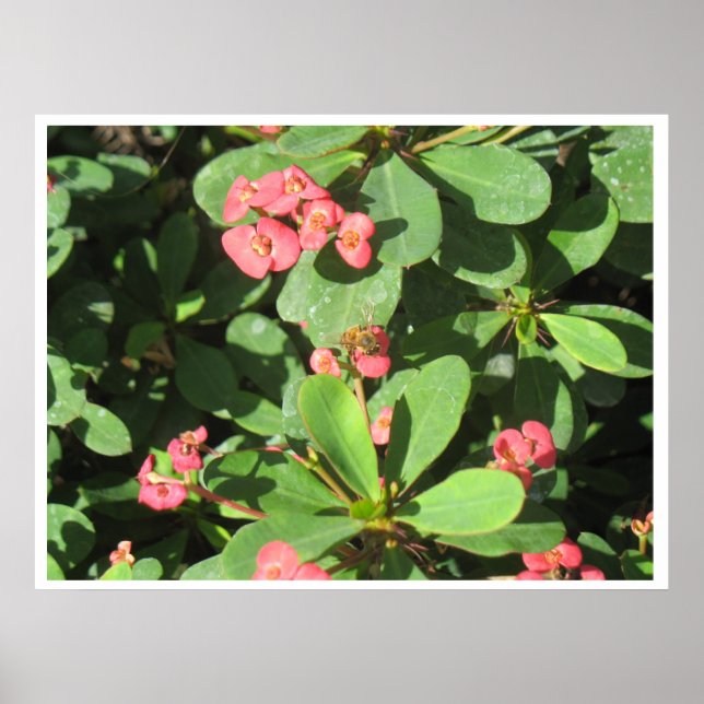 ¡Fuera! Póster (Frente)