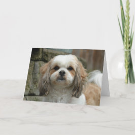 "Fuera tarjeta de felicitación del humor del