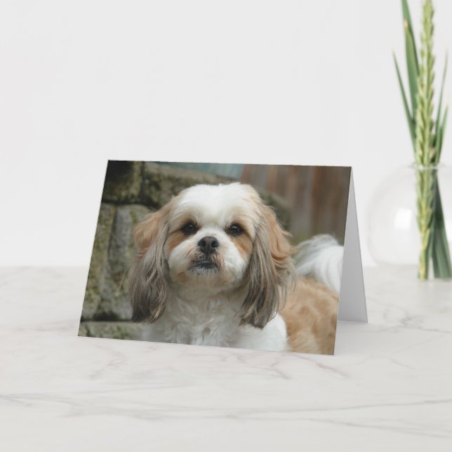 "Fuera tarjeta de felicitación del humor del (Anverso)