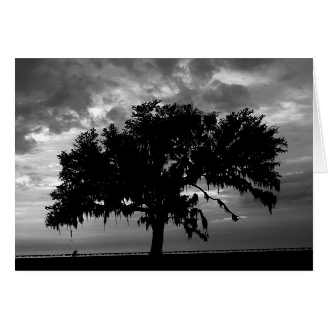 Fuerte como roble (Anverso (Horizontal))