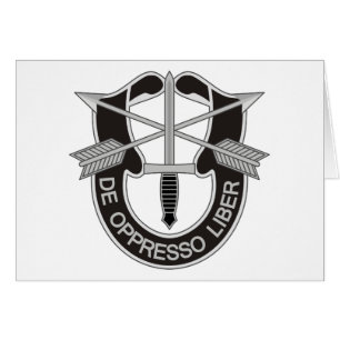 Fuerzas Especiales SF De Oppresso Liber