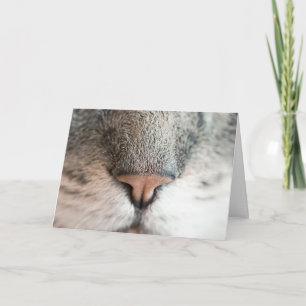 Fun Cat Lover Birday Pun con tarjeta