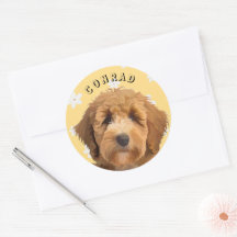 Fun Floral Labradoodle Pegatinas Cuadros Diseño Re