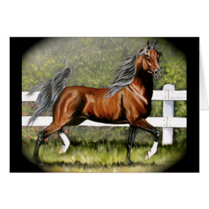 Funcionamiento árabe del caballo de la bahía