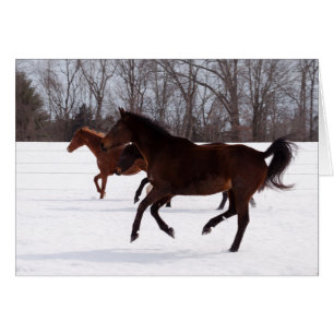 Funcionamiento de la nieve del zen de B