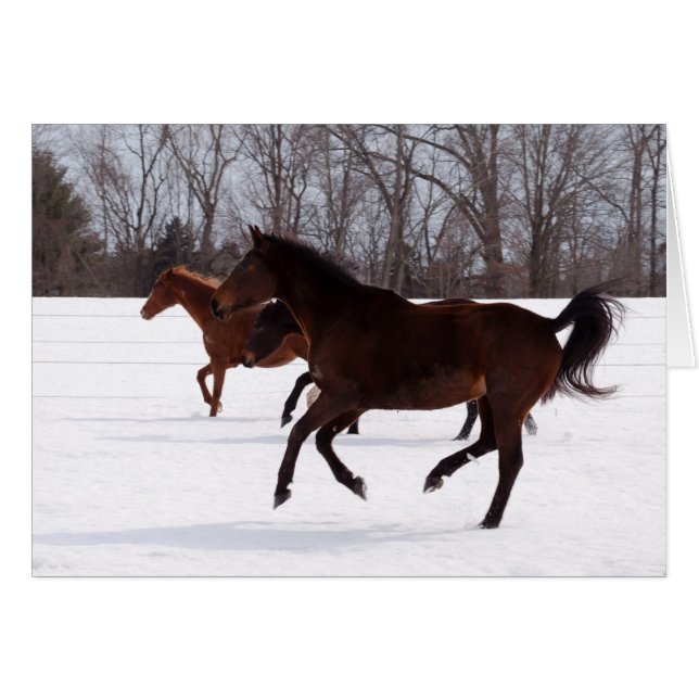 Funcionamiento de la nieve del zen de B (Anverso (Horizontal))