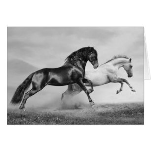 Funcionamiento de los caballos