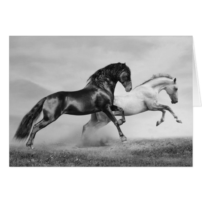 Funcionamiento de los caballos (Anverso (Horizontal))