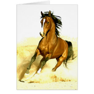 Funcionamiento del caballo