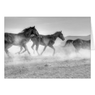 Funcionamiento del mustango