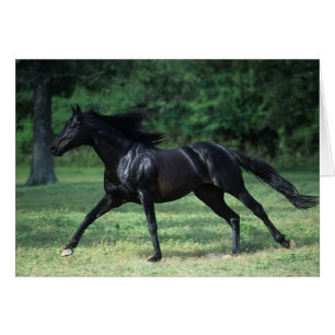 Funcionamiento excelente