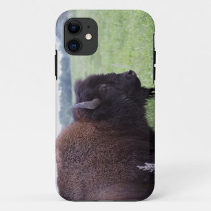 Funda American Plains Buffalo Bison iPhone 5