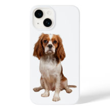 Funda Apple iPhone 14 con King Charles Cavalier