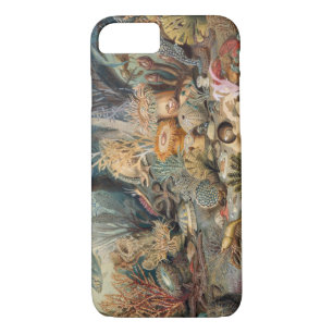 Funda Barely There de Case-Mate para iPhone 8/7