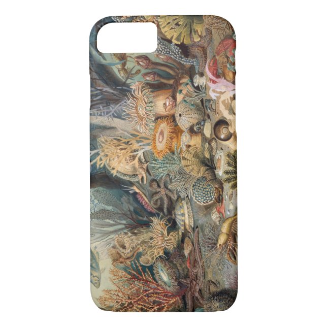 Funda Barely There de Case-Mate para iPhone 8/7 (Reverso)