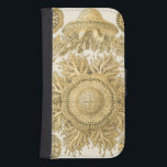 Funda Cartera Para Galaxy S4 Criaturas del Mar de Oro<br><div class="desc">Ernst Haeckel es un artista creativo e imaginativo. En esta obra de arte contemporánea,  él captura la vida marina de erizos anemónicos en diseños dorados y torcidos. No tendrás ninguna otra pieza de arte como esta. ¡Consiga esta innovadora pieza de arte oceánico en sus productos hoy!</div>