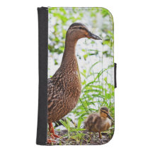 Mallard y Ducklings por Shirley Taylor