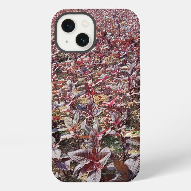 Funda Case-Mate Tough Apple para iPhone 13 (Reverso )