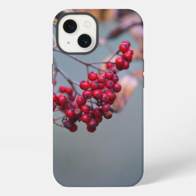 Funda Case-Mate Tough Apple para iPhone 13 (Reverso )