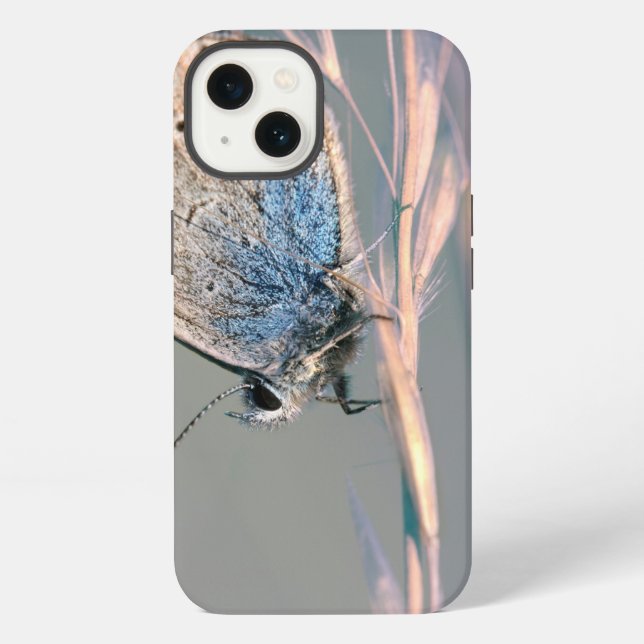 Funda Case-Mate Tough Apple para iPhone 13 (Reverso )