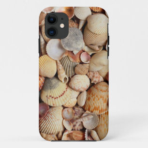 Funda Cute Shell iPhone 5/5s