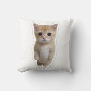 Funda de Almohada de Gatito Naranja de Pie Adorabl