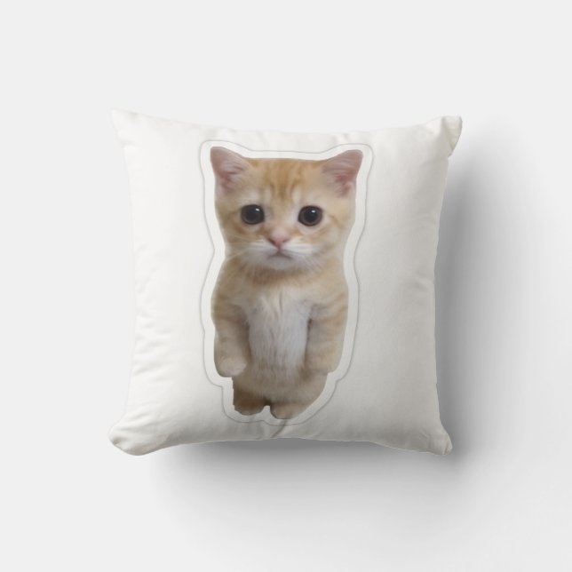 Funda de Almohada de Gatito Naranja de Pie Adorabl (Anverso)