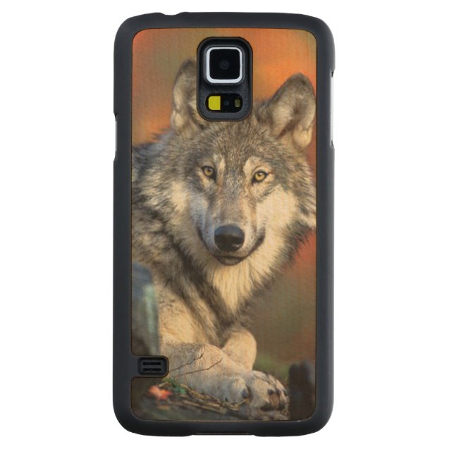Funda De Arce Para Galaxy S5 De Carved Imagen de la fotografía del lobo (Reverso)