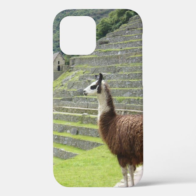 Funda De Case-Mate Para iPhone 1.ª presa (Reverso )