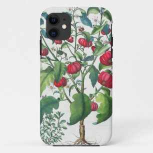 Funda Para iPhone 11 1.Solanum Pomiferum; 2.Amaracus vulgaris, de