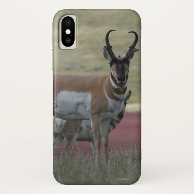 Funda De Case-Mate Para iPhone A24 Pronghorn Antelope (Reverso)