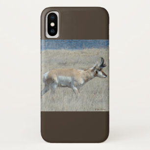title_seo2 A25 Pronghorn Antelope