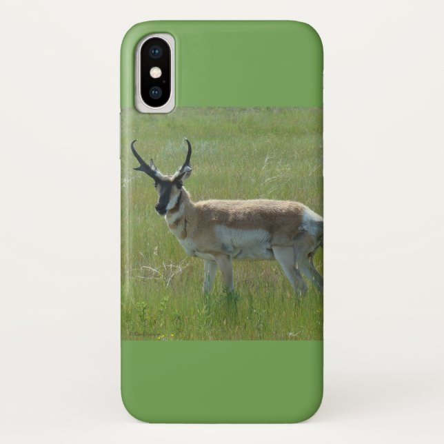 Funda De Case-Mate Para iPhone A36 Pronghorn Antelope (Reverso)