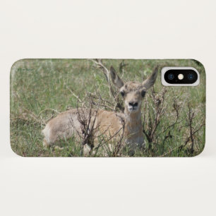 Funda Para iPhone X A7 Baby Pronghorn Antelope