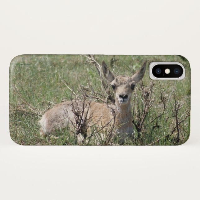 Funda De Case-Mate Para iPhone A7 Baby Pronghorn Antelope (Reverso (horizontal))